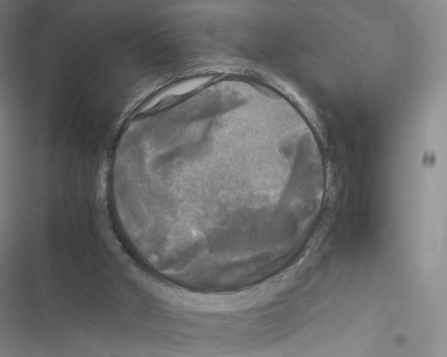 X0000116440010201001191541