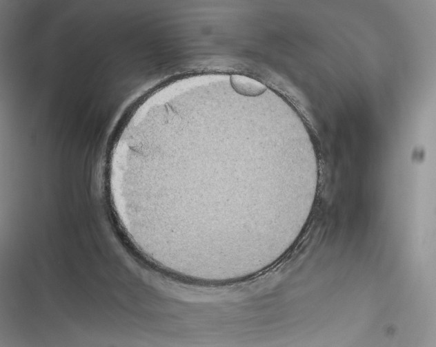 X0000116440012201001191541