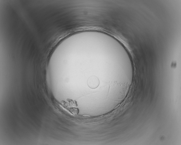 X0000116440013201001191541