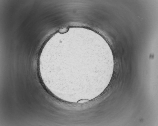 X0000116440015201001191541