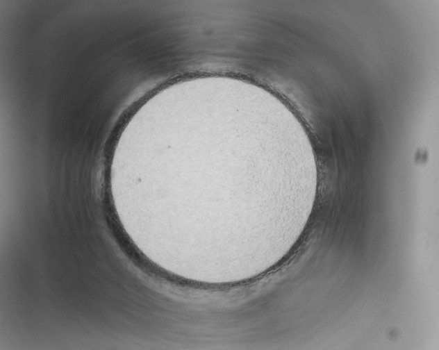 X0000116440016201001191541