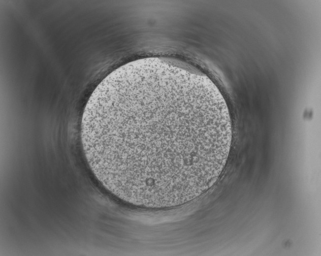 X0000116440017201001191541