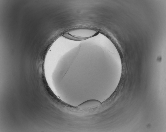 X0000116440019201001191541