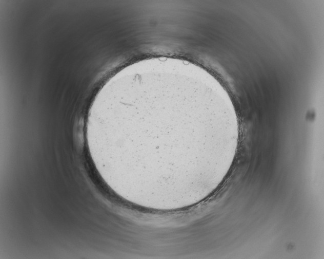 X0000116440020201001191541