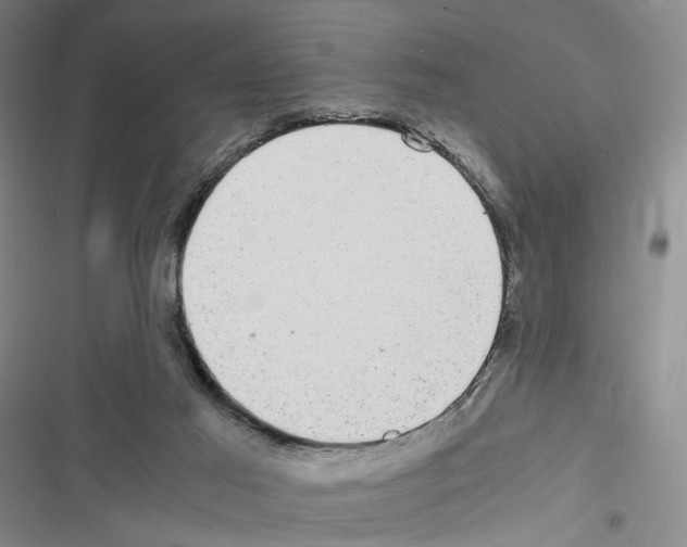 X0000116440021201001191541