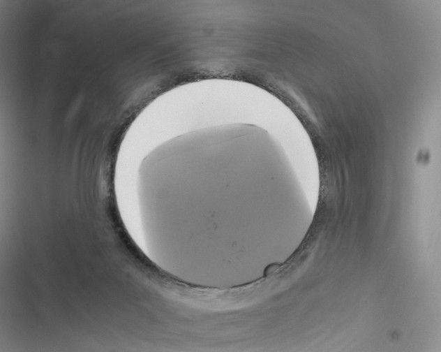 X0000116440023201001191541