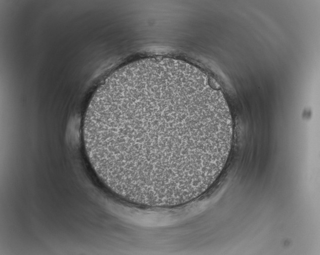 X0000116440024201001191541