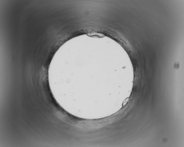 X0000116440025201001191541