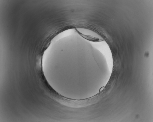 X0000116440027201001191541