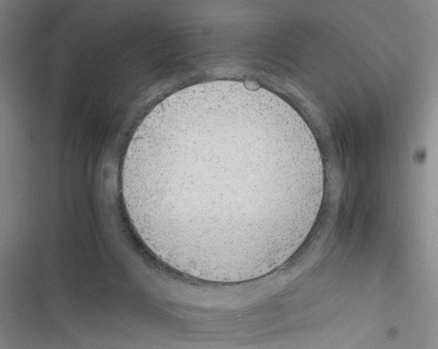 X0000116440028201001191541