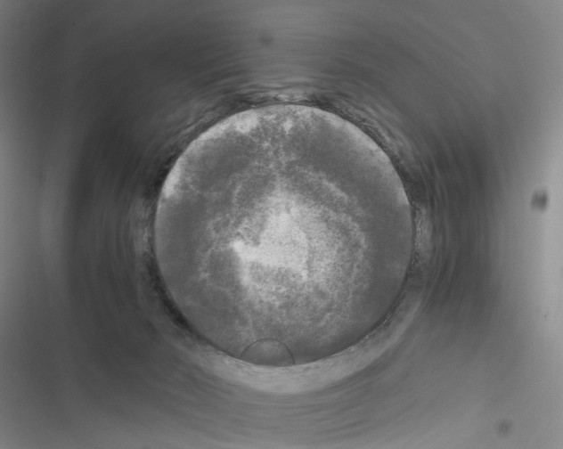 X0000116440030201001191541