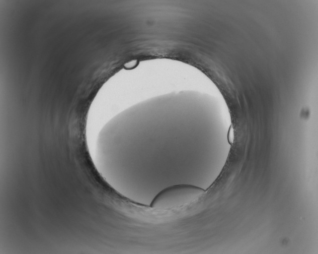 X0000116440031201001191541