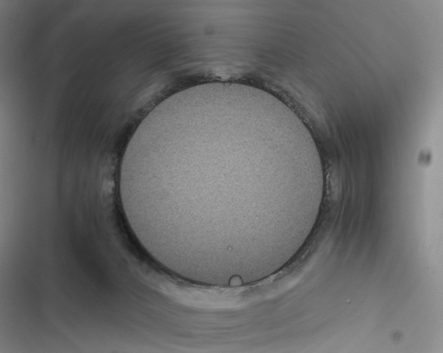 X0000116440032201001191541