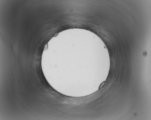 X0000116440033201001191541