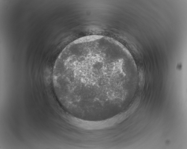 X0000116440034201001191541