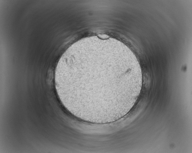 X0000116440036201001191541