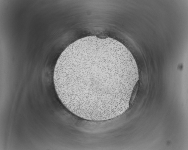 X0000116440037201001191541