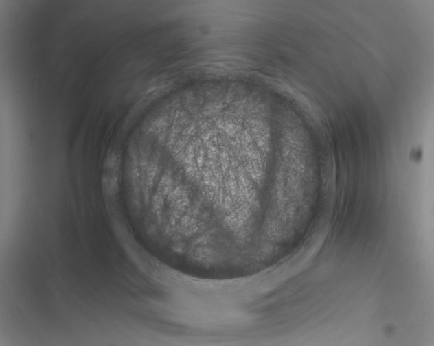 X0000116440038201001191541