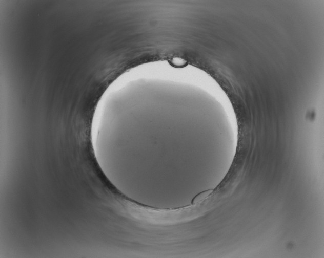 X0000116440039201001191541