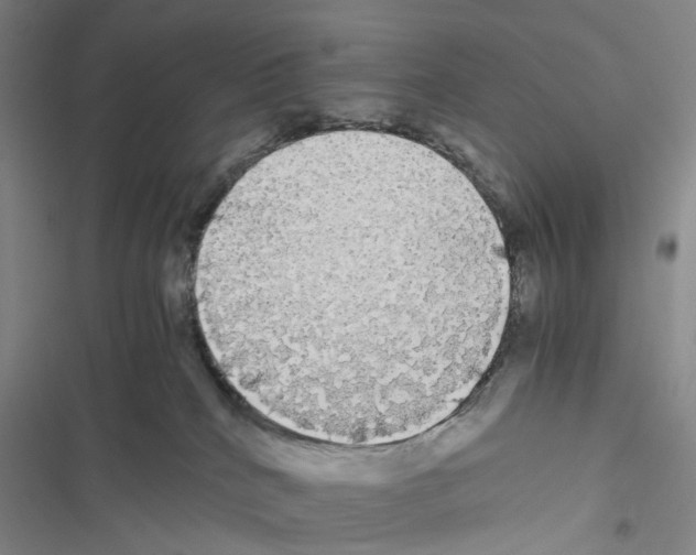 X0000116440040201001191541