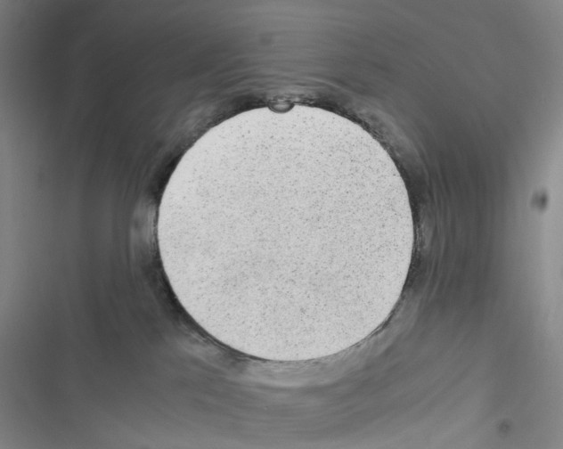 X0000116440041201001191541