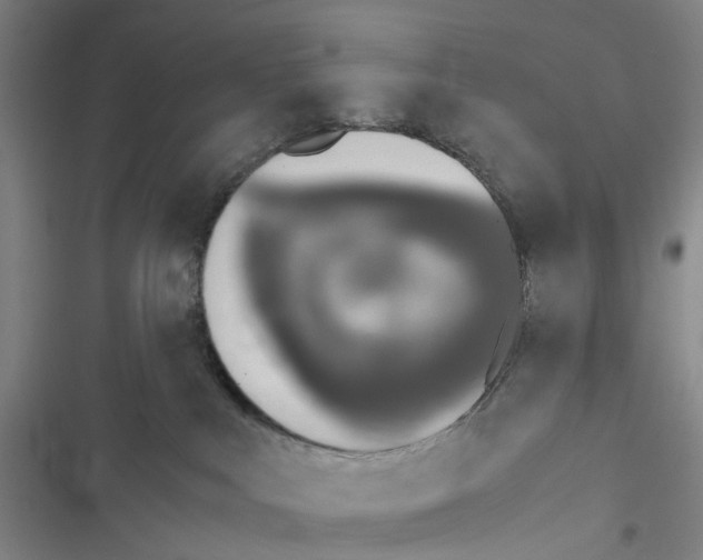 X0000116440043201001191541