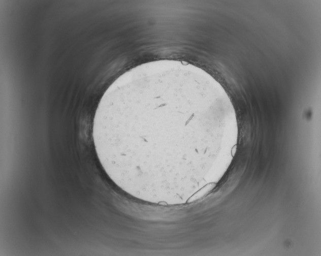 X0000116440044201001191541