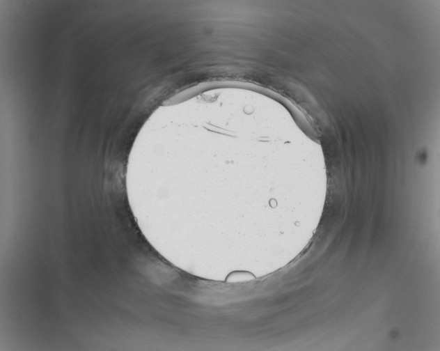 X0000116440045201001191541