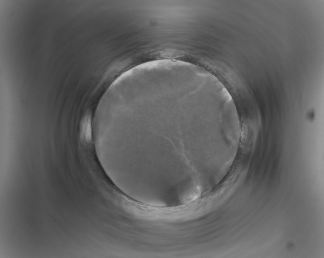 X0000116440046201001191541