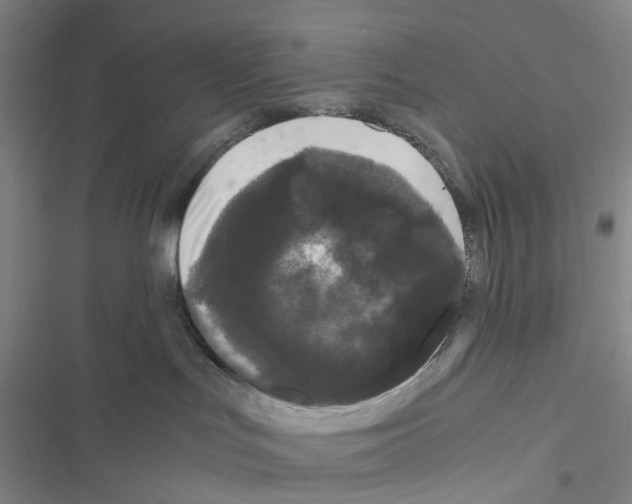 X0000116440047201001191541