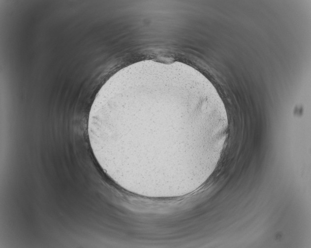 X0000116440048201001191541