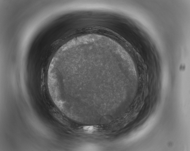 X0000116440050201001191540