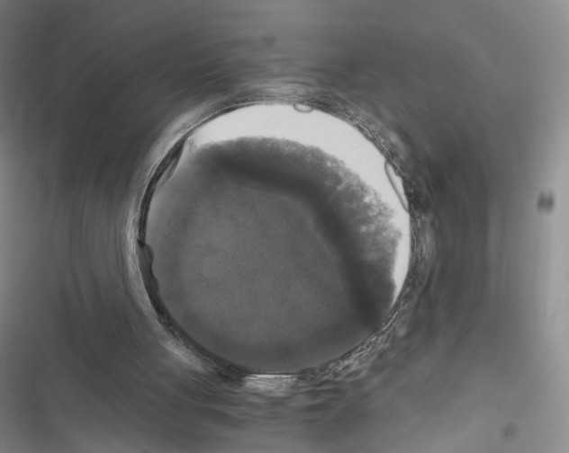 X0000116440051201001191540