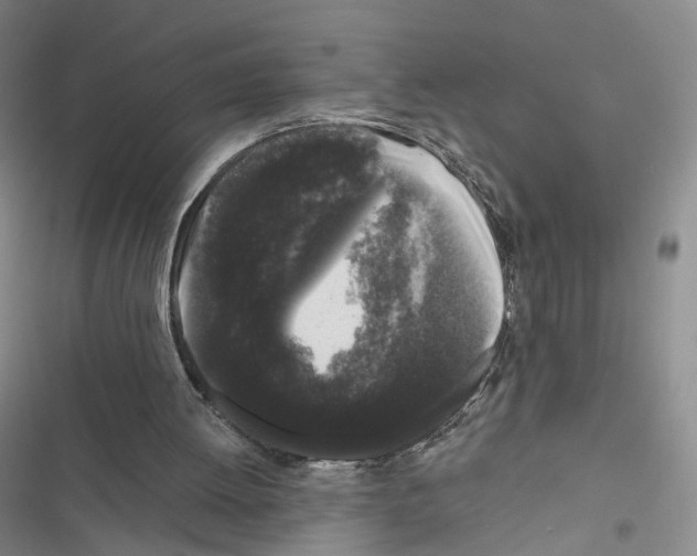 X0000116440052201001191540