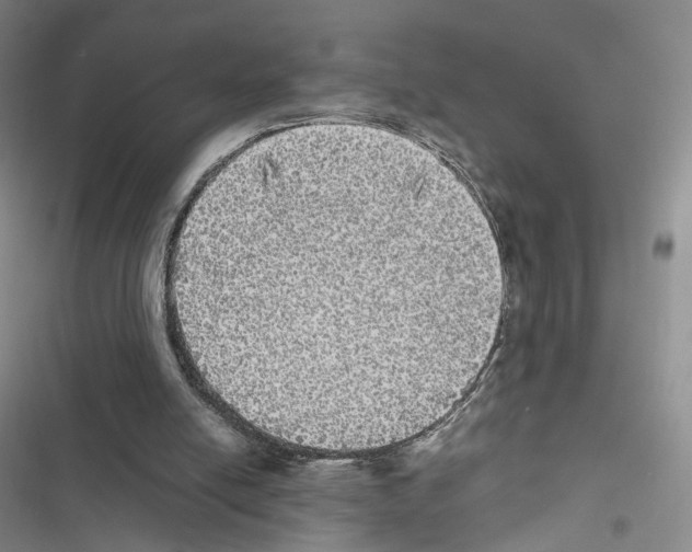 X0000116440054201001191540