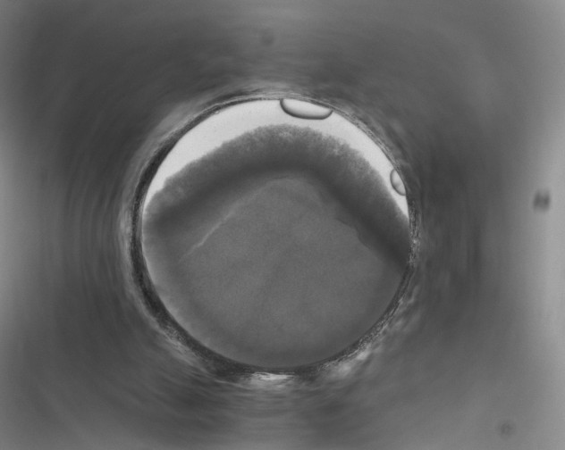 X0000116440055201001191540