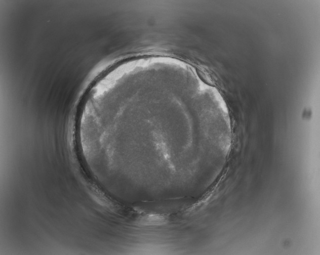 X0000116440056201001191540