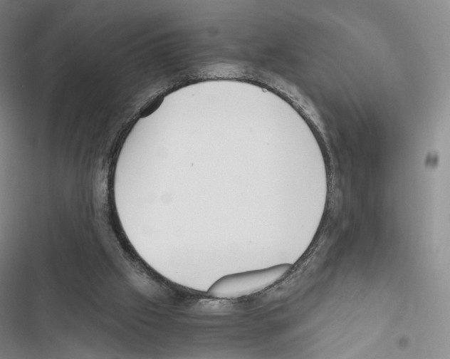 X0000116440057201001191540