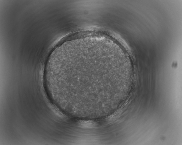 X0000116440058201001191540