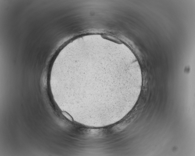 X0000116440060201001191540