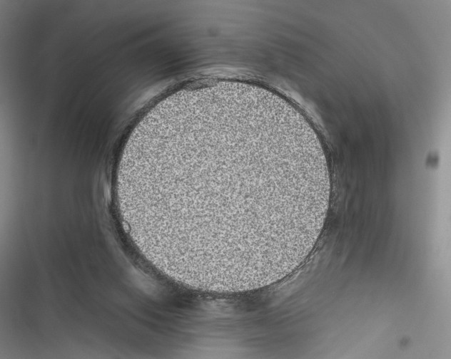 X0000116440062201001191540