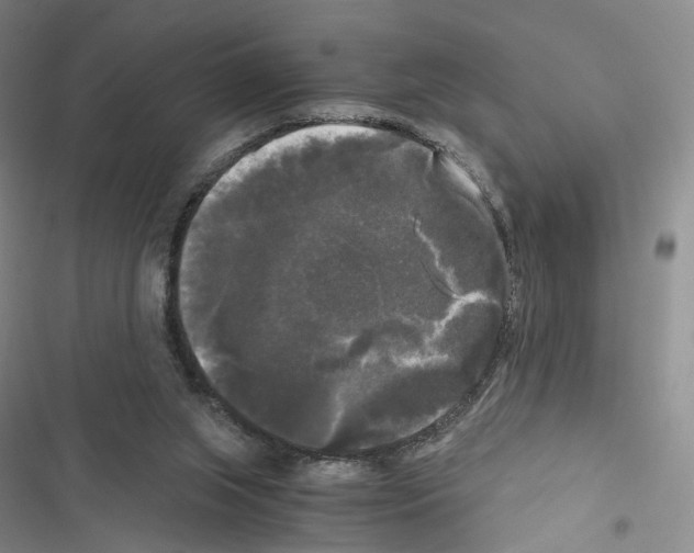 X0000116440063201001191540