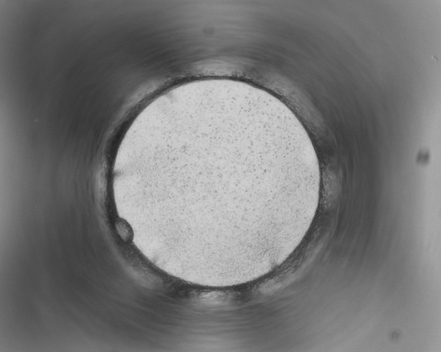 X0000116440064201001191540