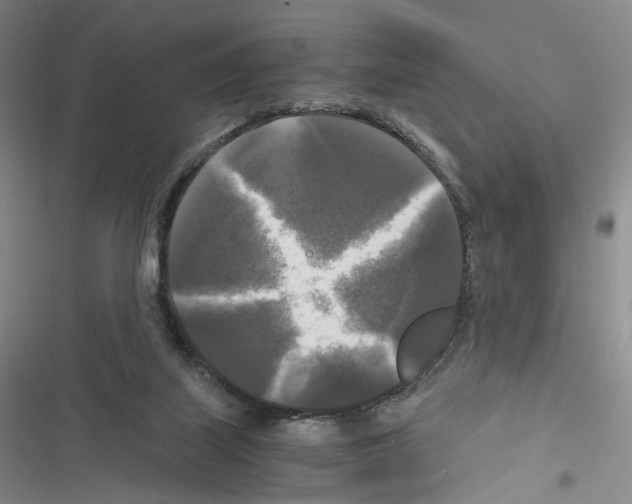 X0000116440067201001191540