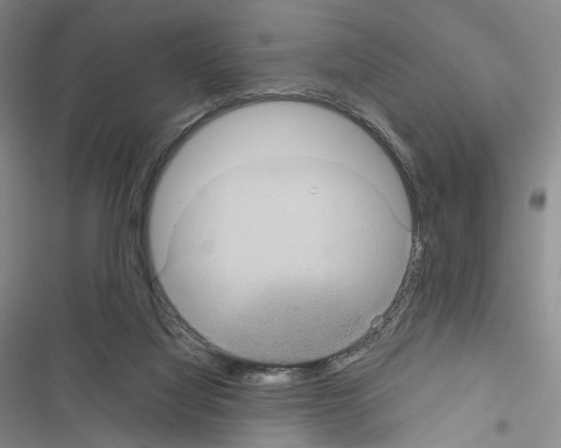 X0000116440068201001191540