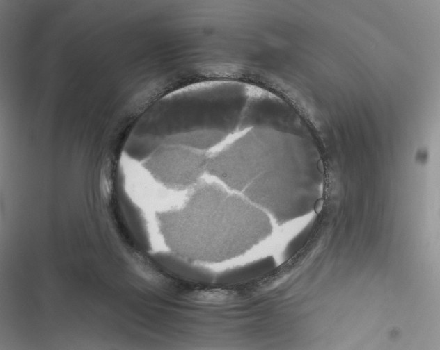 X0000116440069201001191540