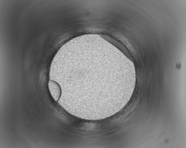 X0000116440071201001191540