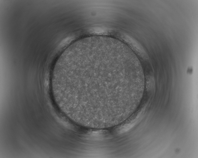 X0000116440072201001191540