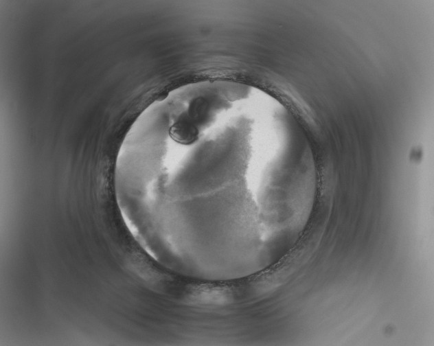 X0000116440073201001191540