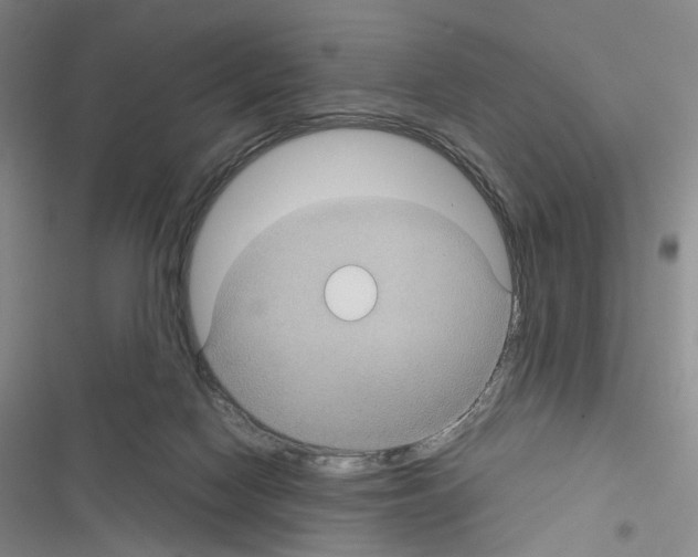 X0000116440074201001191540